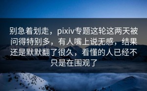 别急着划走，pixiv专题这轮这两天被问得特别多，有人嘴上说无感，结果还是默默翻了很久，看懂的人已经不只是在围观了