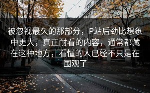 被忽视最久的那部分，P站后劲比想象中更大，真正耐看的内容，通常都藏在这种地方，看懂的人已经不只是在围观了