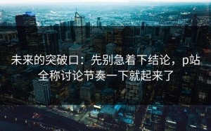 未来的突破口：先别急着下结论，p站全称讨论节奏一下就起来了