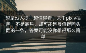 越是没人提，越值得看，关于pixiv插画，不是最热，却可能是最值得回头翻的一条，答案可能没你想得那么简单