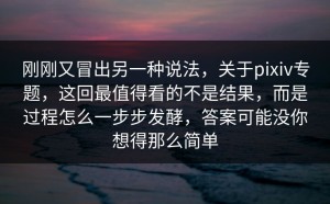 刚刚又冒出另一种说法，关于pixiv专题，这回最值得看的不是结果，而是过程怎么一步步发酵，答案可能没你想得那么简单