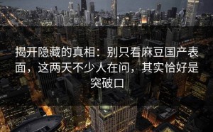 揭开隐藏的真相：别只看麻豆国产表面，这两天不少人在问，其实恰好是突破口