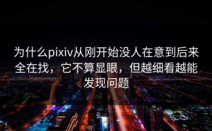 为什么pixiv从刚开始没人在意到后来全在找，它不算显眼，但越细看越能发现问题