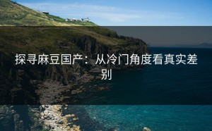 探寻麻豆国产：从冷门角度看真实差别