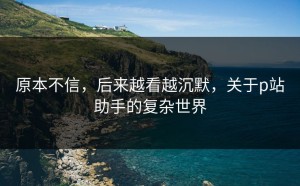原本不信，后来越看越沉默，关于p站助手的复杂世界