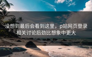 没想到最后会看到这里，p站网页登录相关讨论后劲比想象中更大