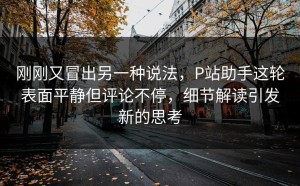 刚刚又冒出另一种说法，P站助手这轮表面平静但评论不停，细节解读引发新的思考