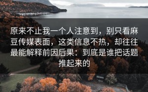原来不止我一个人注意到，别只看麻豆传媒表面，这类信息不热，却往往最能解释前因后果：到底是谁把话题推起来的
