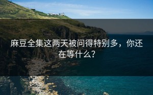 麻豆全集这两天被问得特别多，你还在等什么？