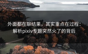 外面都在聊结果，其实重点在过程：解析pixiv专题突然火了的背后