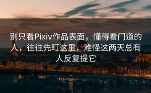 别只看Pixiv作品表面，懂得看门道的人，往往先盯这里，难怪这两天总有人反复提它