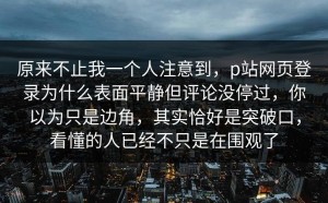 原来不止我一个人注意到，p站网页登录为什么表面平静但评论没停过，你以为只是边角，其实恰好是突破口，看懂的人已经不只是在围观了