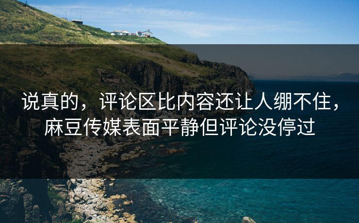 说真的，评论区比内容还让人绷不住，麻豆传媒表面平静但评论没停过