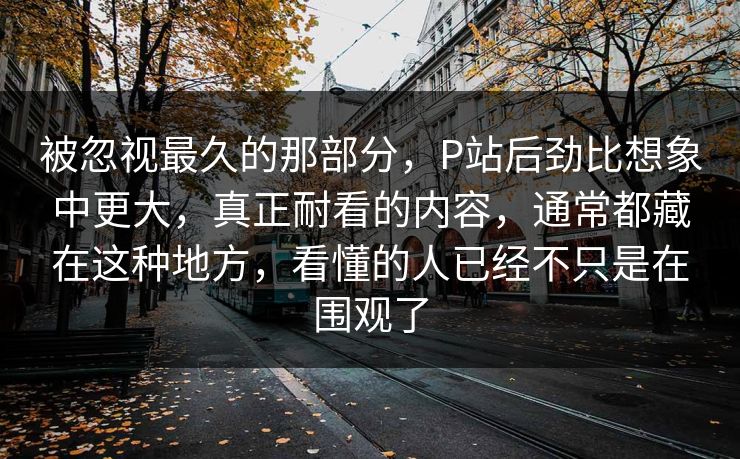 被忽视最久的那部分，P站后劲比想象中更大，真正耐看的内容，通常都藏在这种地方，看懂的人已经不只是在围观了