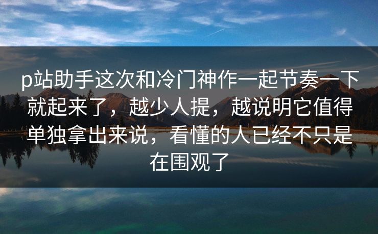p站助手这次和冷门神作一起节奏一下就起来了，越少人提，越说明它值得单独拿出来说，看懂的人已经不只是在围观了