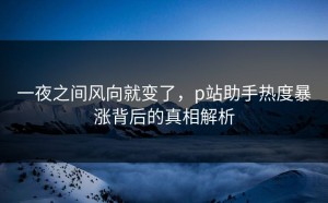 一夜之间风向就变了，p站助手热度暴涨背后的真相解析